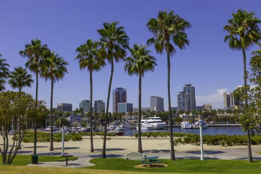 We Are the Company to Call When You Need a Process Server in Long Beach CA
